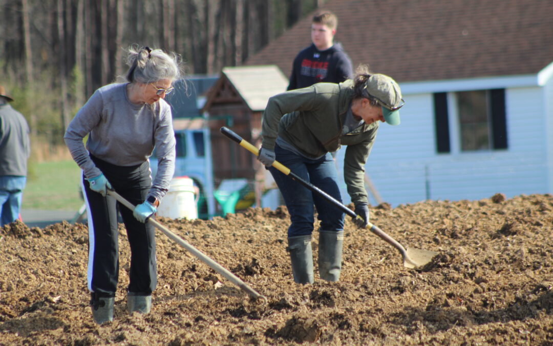 PHOTOS:  An army of potato planters at Rappahannock Education Farm