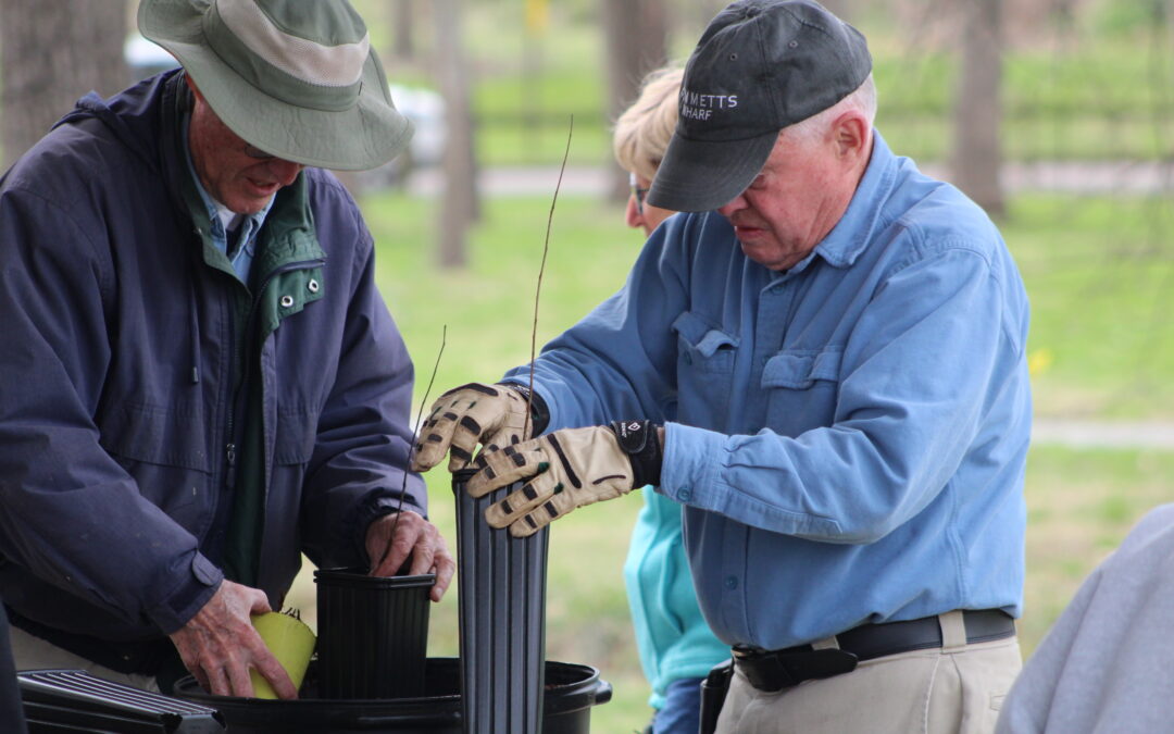 PHOTOS:  Make seedlings available—and they will come.