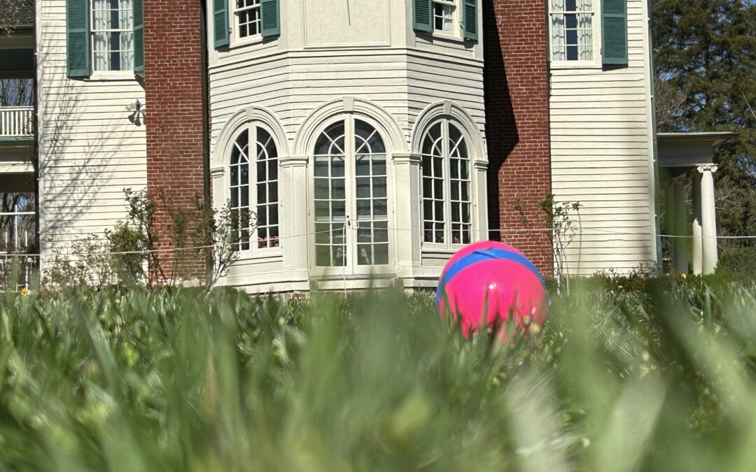 LISTEN:  Beeping Eggs at Belmont on Sunday