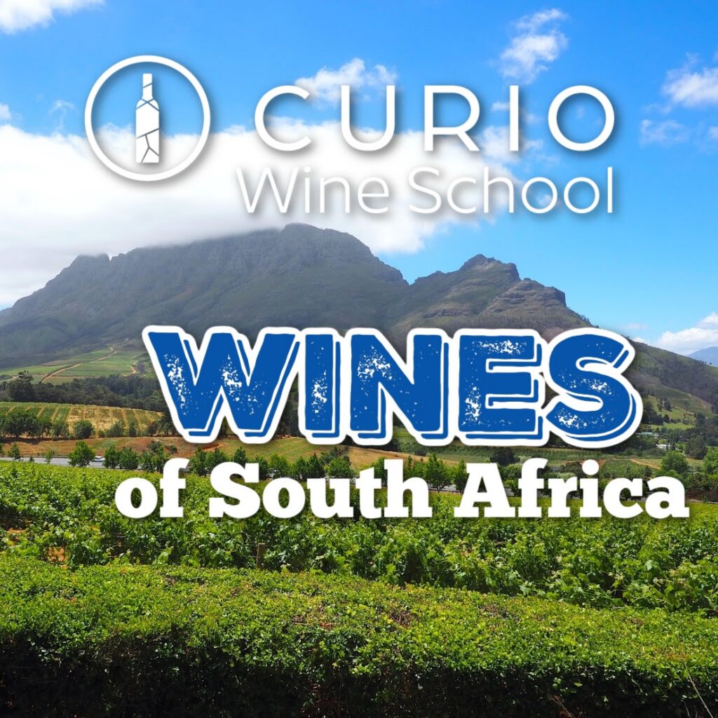 Curio Wine School: Wines of South Africa