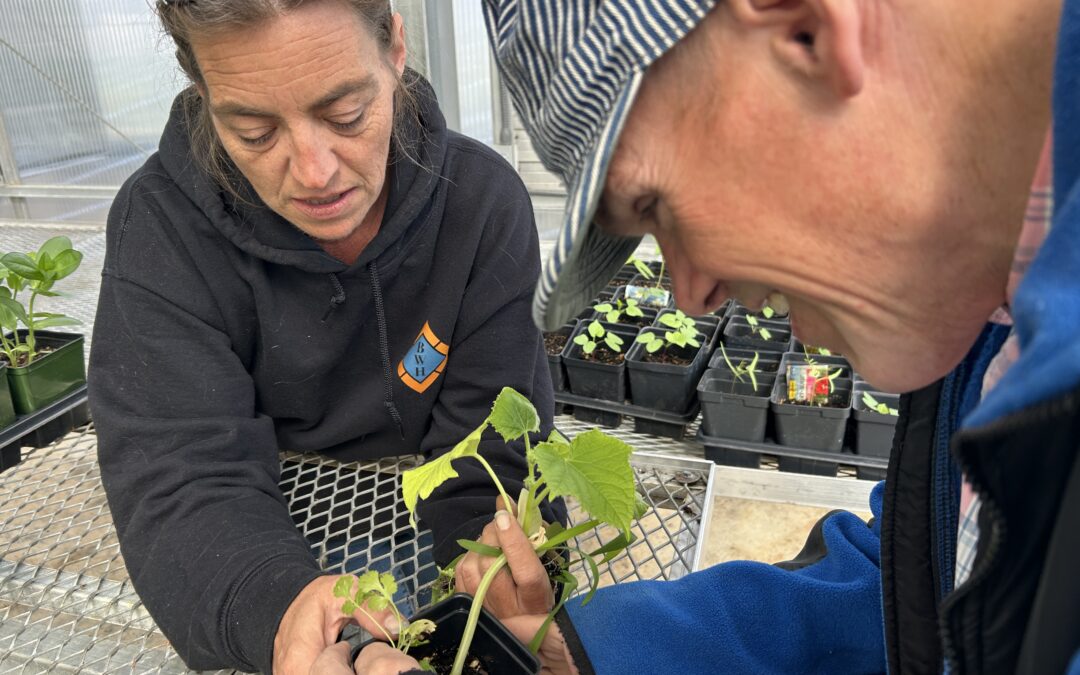 PHOTOS:  Final prep for RAAI spring plant sale