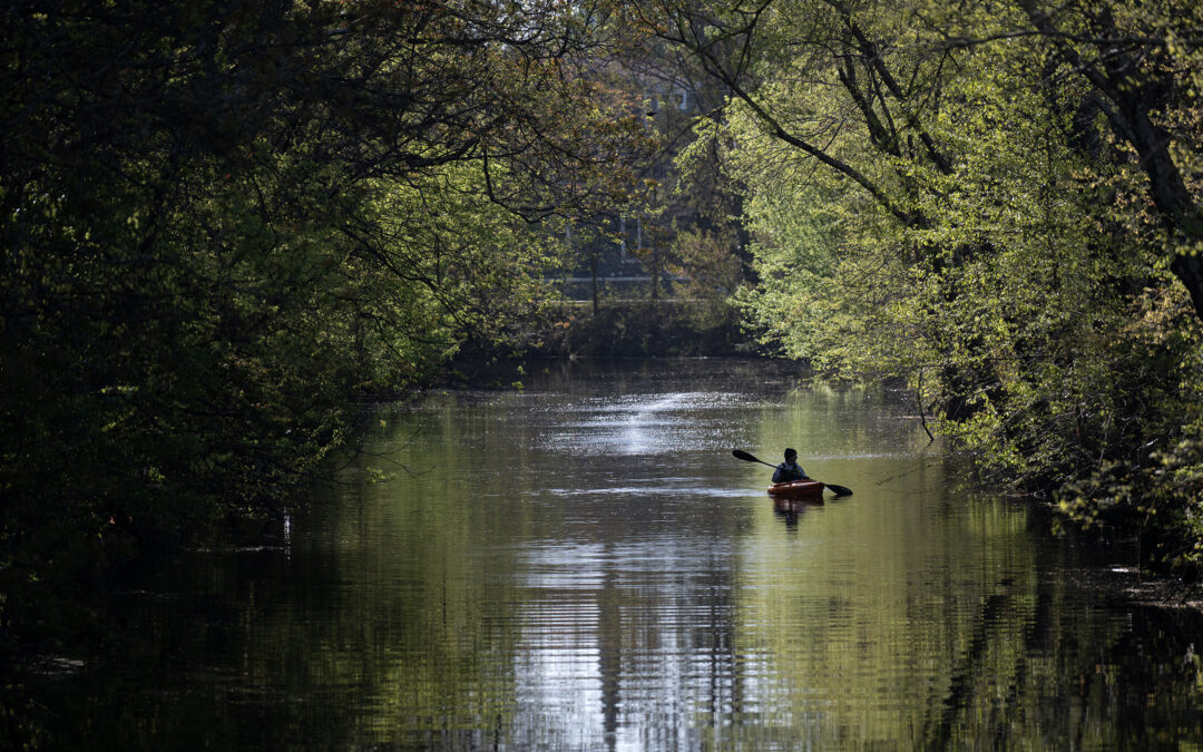 PHOTOS: Rappahannock Canal cleanup is a good day on the water