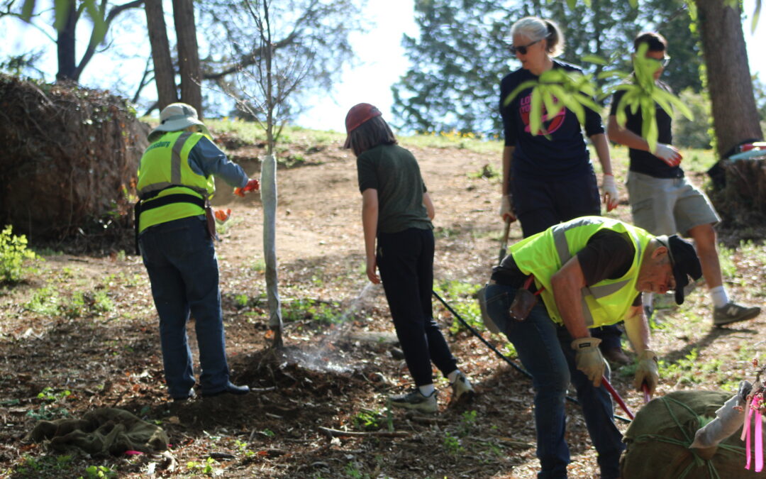 PHOTOS:  Rooted in history: Volunteers plant native trees at Mary Washington Monument