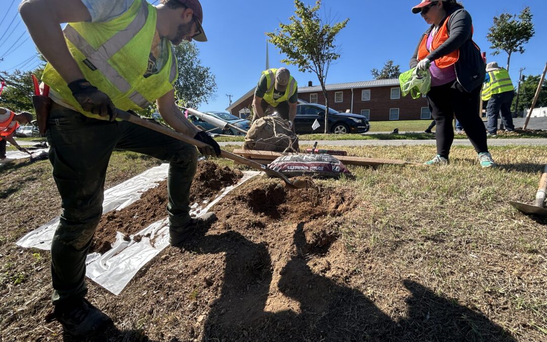 PHOTOS:  New trees added along Riverside Drive