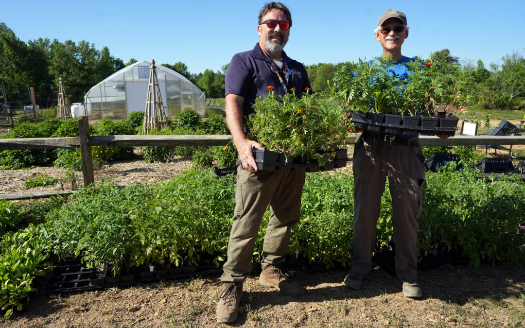 Stafford County students cultivate community impact