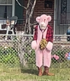 Police seeking pink-costumed person who allegedly followed children