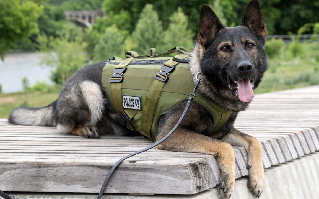 COLUMN: Donations are a treat for Fredericksburg, Stafford K-9 units