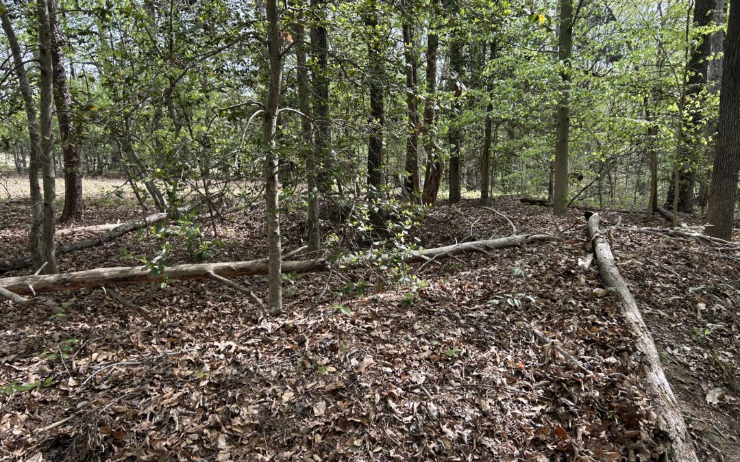 WATCH:  How a small Spotsylvania site protects a big piece of Civil War history