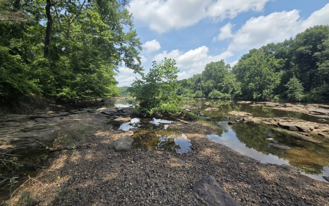 High temps, low flow led to fish die-off on Rappahannock River