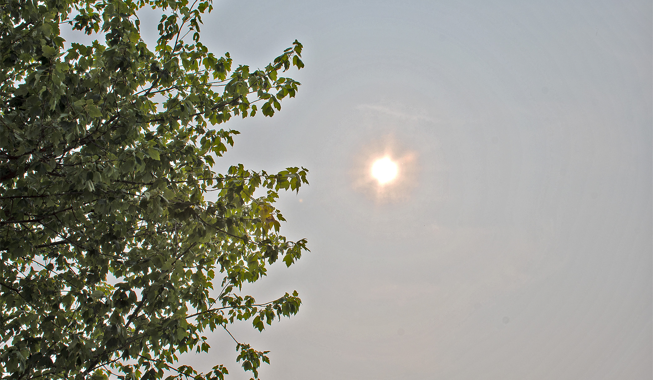 Hazy Sky