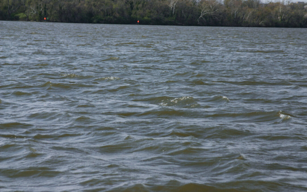 Virginia senators request special session to act on ’deeply alarming’ groundwater report