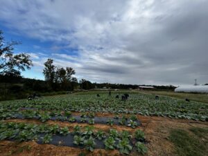 PHOTOS: Another milestone at Rappahannock Education Farm