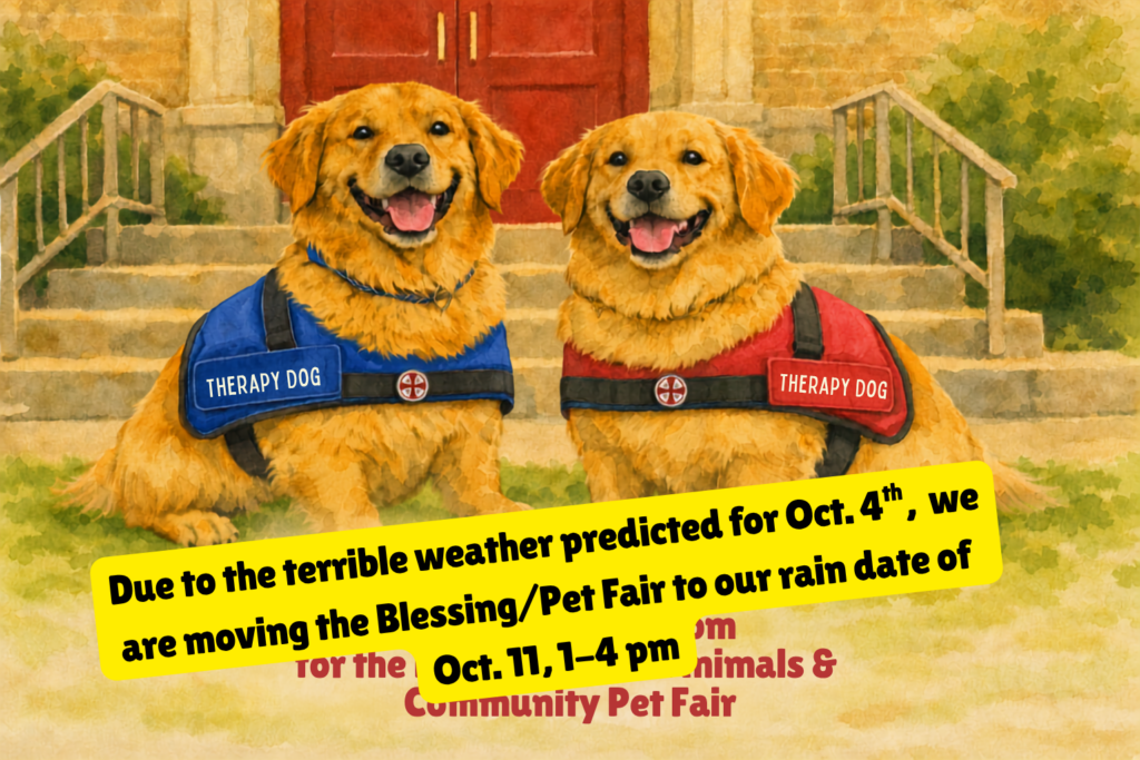 4th Annual Blessing of the Animals & Community Pet Fair